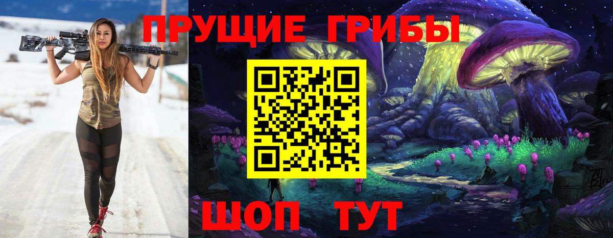 Галлюциногенные грибы Psilocybe Гусиноозёрск